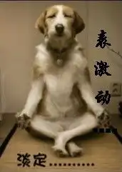 经典搞笑qq表情动物图片