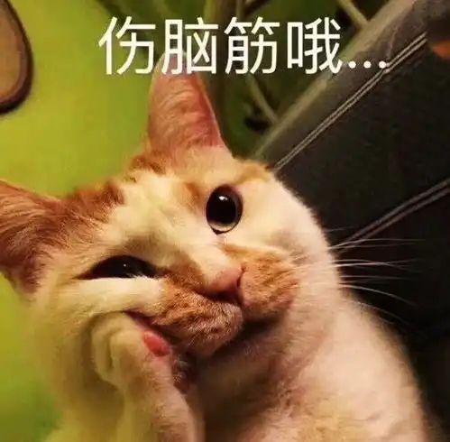 汤姆猫表情包小程序大笑