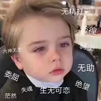 孤独无助又胖胖表情包微信头像图片大全
