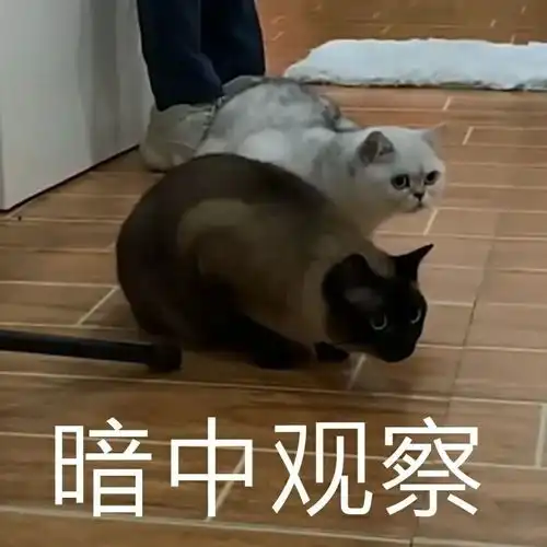 爸妈再爱我一次之表情包不是这个意思
