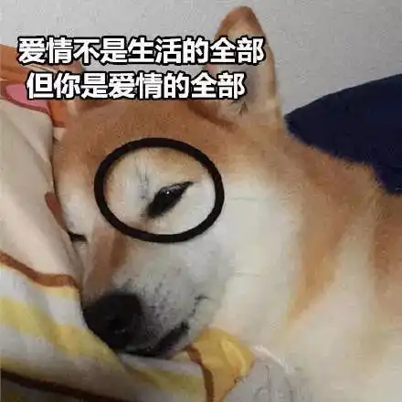来自柴柴的土味情话
