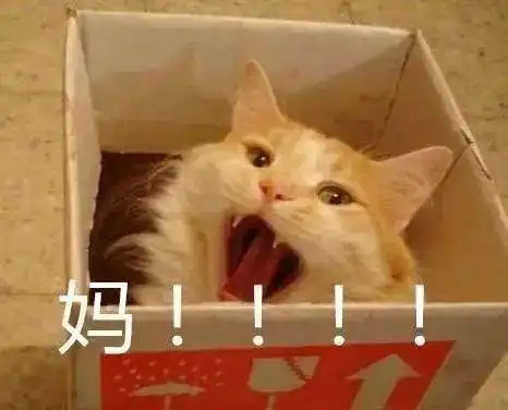爸爸一个字气哭女儿,全网爆笑这不是我爸吗

