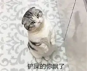 折耳猫发起了一个小鱼干请求,却遭主人拒绝,随后的表情亮了
