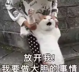 李姐讲笑话坐地铁旁边坐着一年轻妈妈抱着一个三岁的小正太
