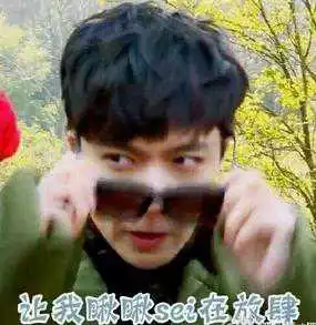 谁有张艺兴的表情包
