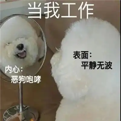 2021最新微信暴躁聊天表情包最经典暴走表情合集

