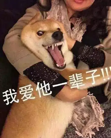 假如有天你的宠物可以回答你一个问题,你会问它什么
