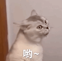微信可爱聊天表情包这个我能免费看的吗
