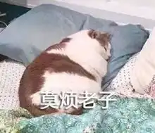 废柴的表情包小腚一瘫,小腿一翻,凡尘俗世,与我无关
