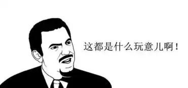 都怪中国澳洲行走的都是读研的中年人...
