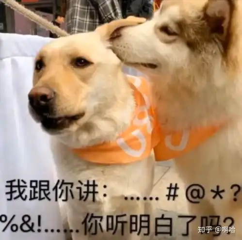 理想国
