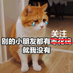 猫咪被抓拍的照片像极了动画片,还出了手办,猫我面子往哪搁
