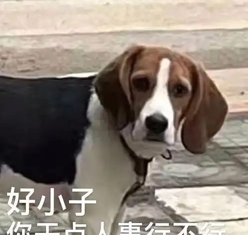 要吐了喝蔡徐坤邓伦剩下的水并炫耀,只是臆想也恶心
