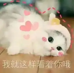 日本购物分享这些神仙单品,竟然全都不到一百块
