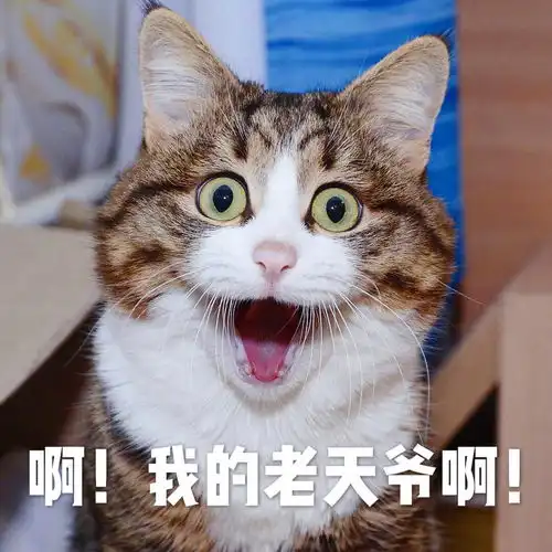 又一导演炮轰演员不敬业还卖惨,还劝他们干脆别干这行
