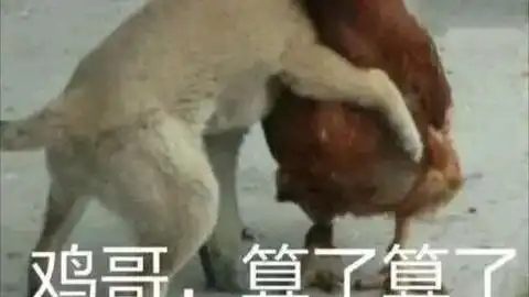 夜猫网吧玩吃鸡要钱,我这里玩吃鸡哔哩哔哩bilibili
