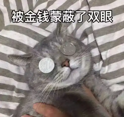 一套房一月内飙升200万这里再现天价住宅