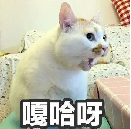 猫咪咕噜,真的是因为满足吗
