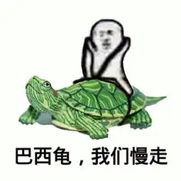 皮皮虾我们走是什么梗什么意思皮皮虾我们走表情包下载县域经济中国网
