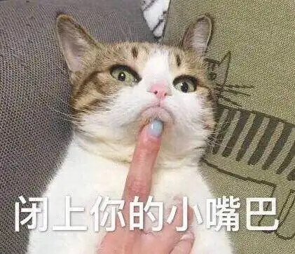 热门斗图表情包精选
