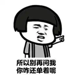 自杀式单身是什么意思

