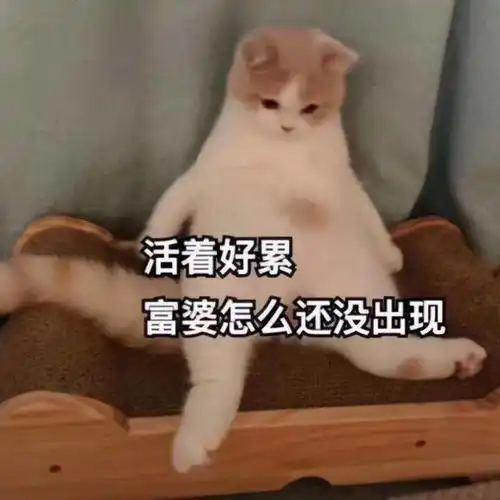 微信上线重磅新功能,每次使用要付1块钱
