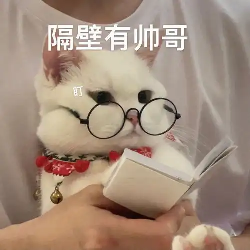 小喵咪学习的样子是不是和你一样
