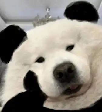 一定要提防身边的男闺蜜哈哈哈哈哈有被震惊到了
