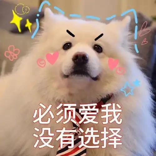 可爱沙雕微信表情包
