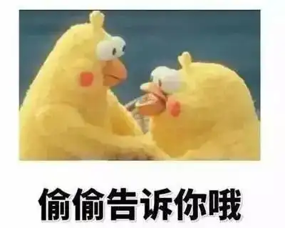 zjuer注意啦这里有一个魔法口袋等你签收
