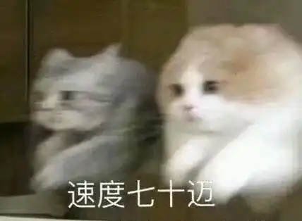 e句话看天下丨和马退赛了好可惜
