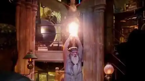 邓布利多家族专属凤凰危难时刻出现致敬我爱的魔法世界
