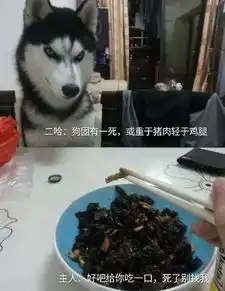 论不要脸我只服哈士奇......
