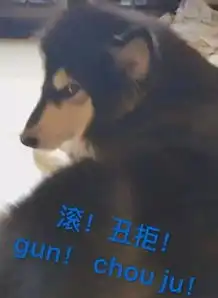 阿拉斯加的各种表情包..酒鬼一家
