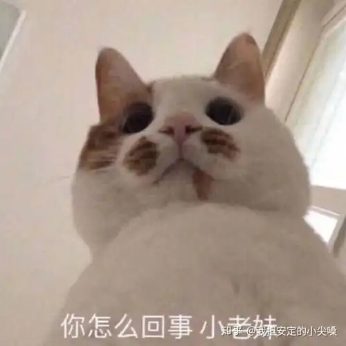 被相亲男放鸽子是种怎样的体验
