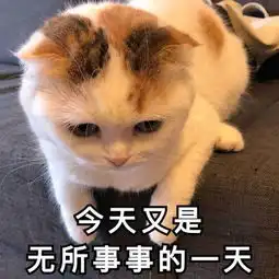 李姐笑话妈妈,我觉得你像公主
