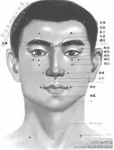 八大瘦脸穴很多朋友身材不错,但脸上很多肉,怎么办呢
