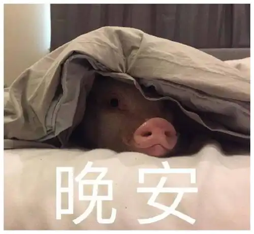 搞笑gif你这表情太到位了,你这是怎么了
