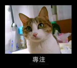 找可爱动物的图片
