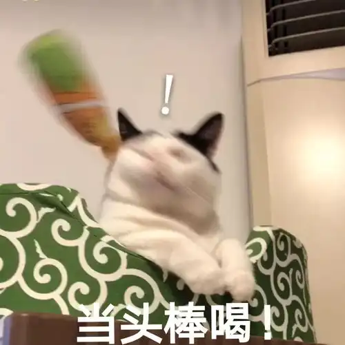 看到这条推送的你,你妈催你睡觉了吗
