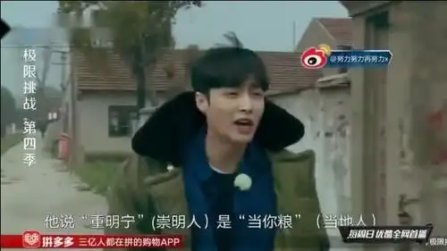 极限挑战4张艺兴进羊圈,赶三只羊小绵羊表情,太搞笑了
