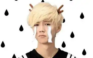 喜欢微信表情里的鹿晗的请举手
