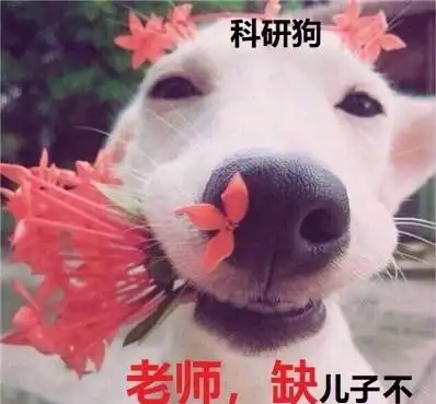 小学生搞科研及独立完成回应背后,调戏的是谁
