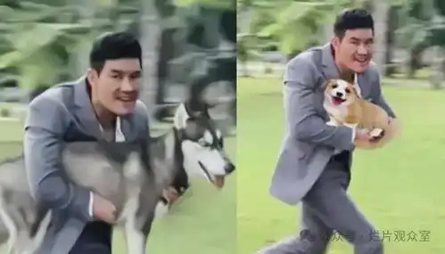 嘎子,你投资八亿的电影,真的好烂
