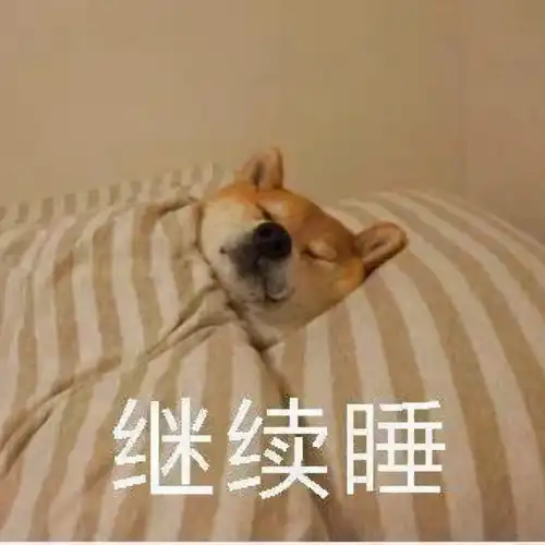 表情包柴犬冬季懒床表情,我再睡一会儿
