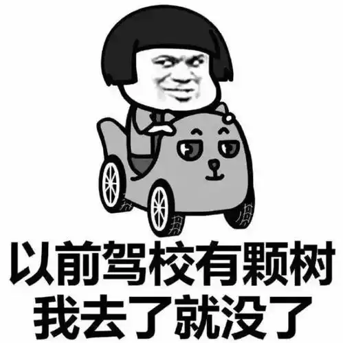 这年头,最会讲段子的是教练,考过驾照的都懂

