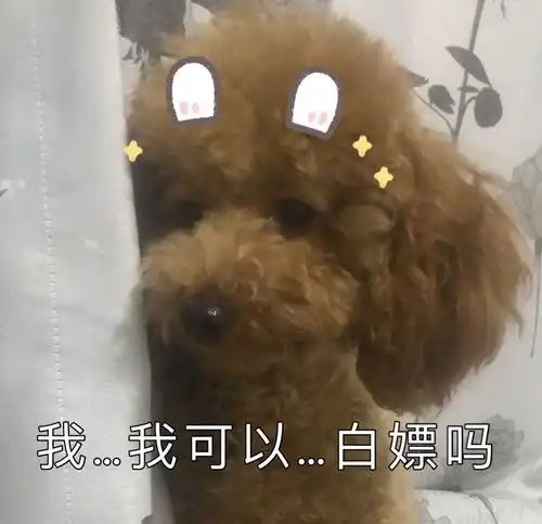 沙雕表情包l不要靠近会变得不幸
