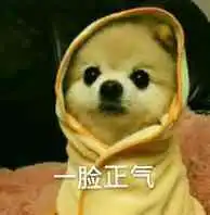三鲜no.9
