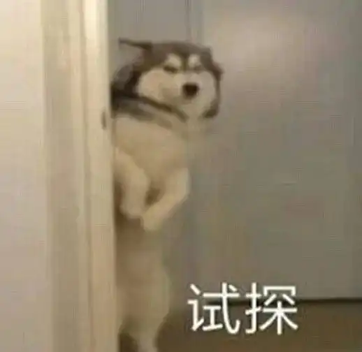 蔡徐坤自曝新专即将上线,他又来凡言凡语了

