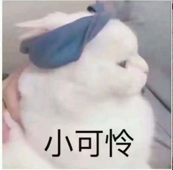 表情包和女朋友聊天表情包的正确打开方式
